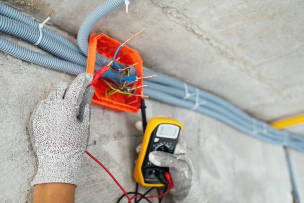 Best Local Electrician Companies  in Brielle, NJ